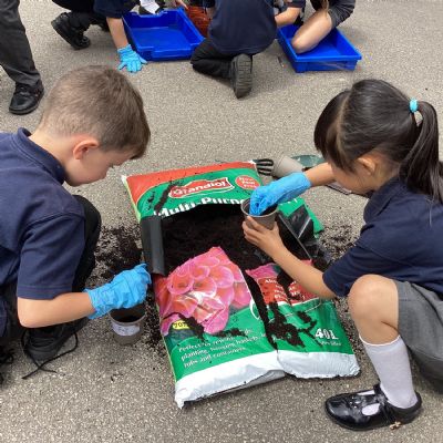 Planting in science