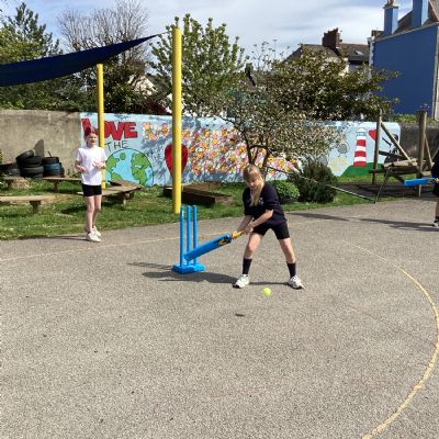 Cricket