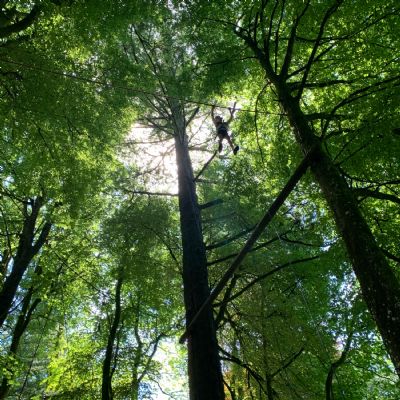 Heatree Day 4: High Ropes