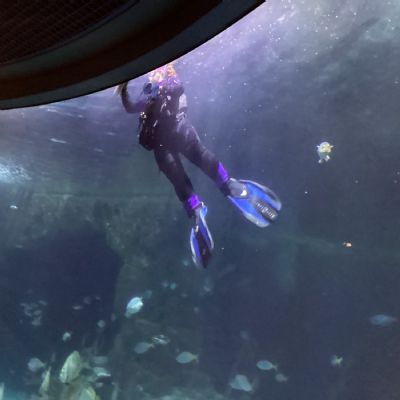 Aquarium