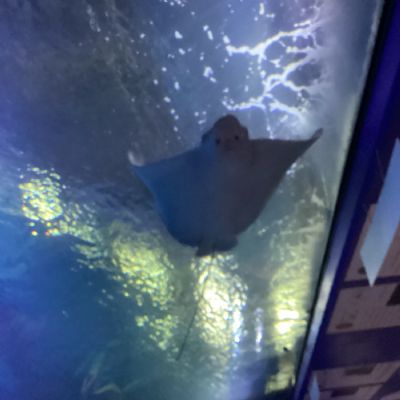 Aquarium